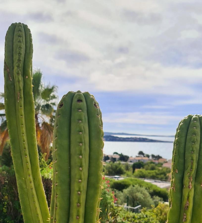 Magnifique Appartement Vue Mer - Grande Terrasse Et Piscine Bandol Buitenkant foto
